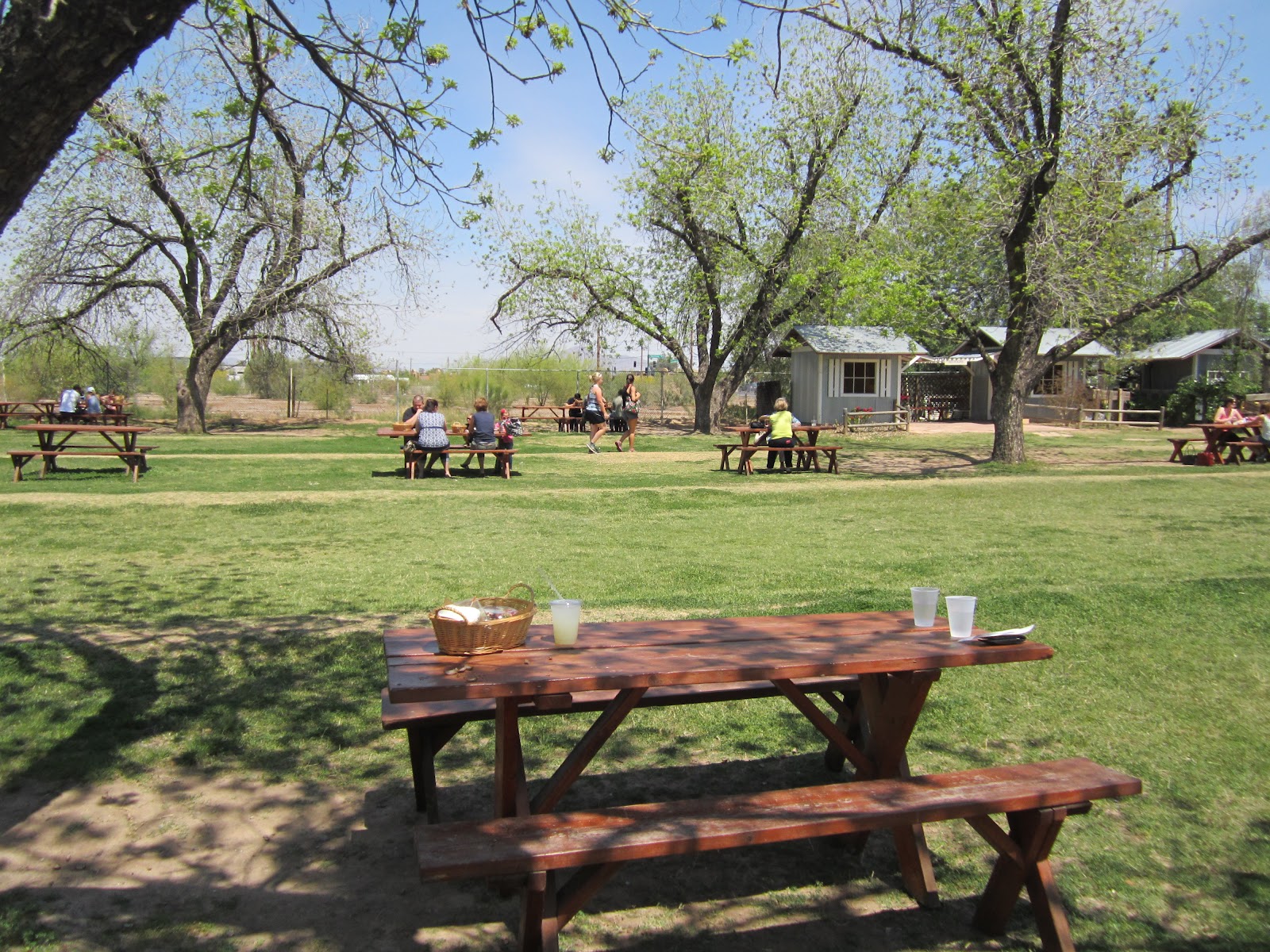 A & E's Adventures Exploring Arizona (The Farm at) South Mountain