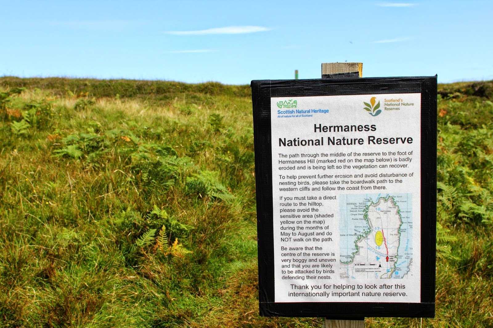 lori times five shetland memories