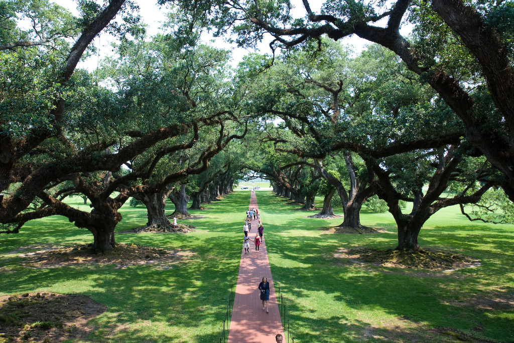 Progressive Odyssey Baton Rouge Plantations