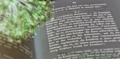 Songun Demirol Yilmaz Heilpraktiker Praxis Dynamis Saarbrucken