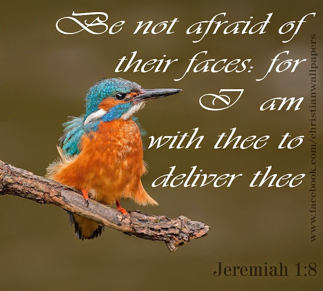 Be not afraid - 2015 Bible verse