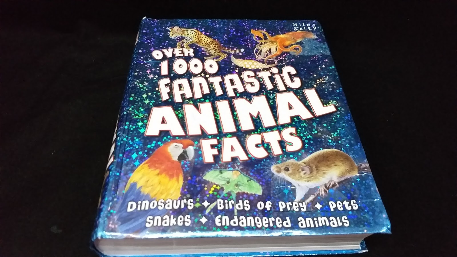 Kid Books Blog:  1000 Fantastic Animal Facts