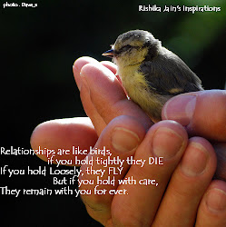 birds quotes inspirational motivational friendship