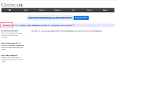 Cara Mengetahui Plagiat Artikel Website Kita 