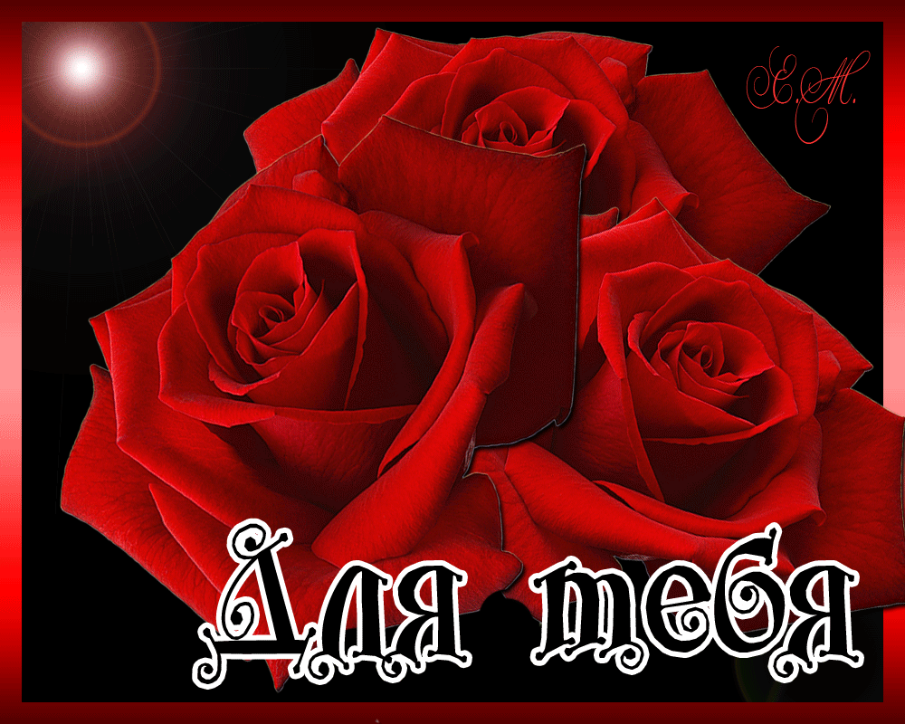 Цветы для тебя картинки красивые с надписью