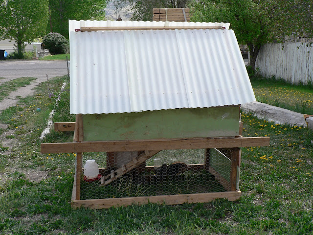 DIY Chicken Coop plans