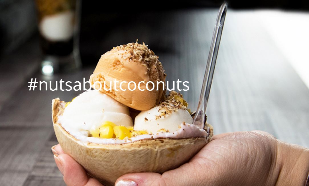 SANGKAYA COCONUT ICE CREAM INDULGENCE JALAN ALOR