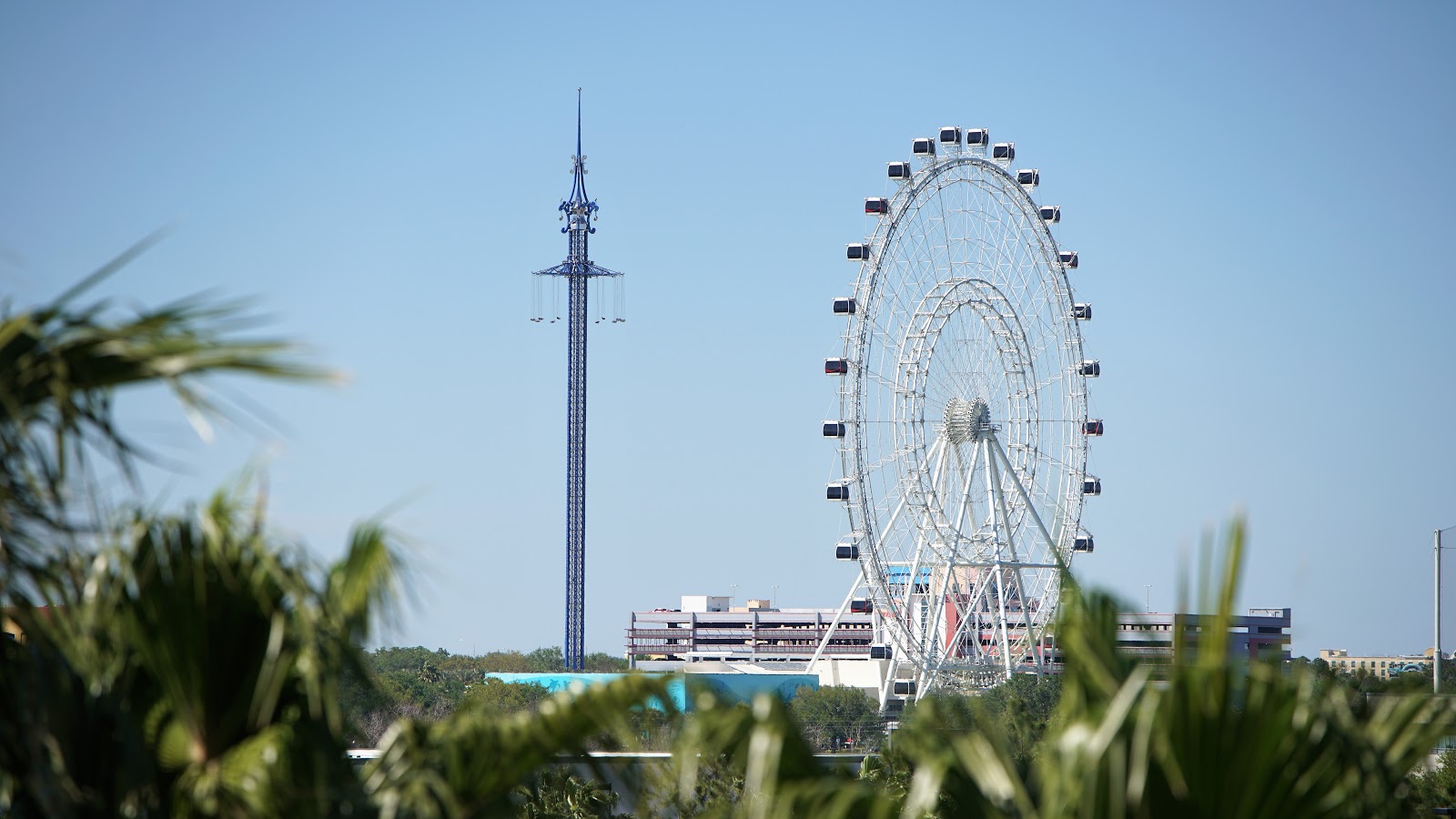 March 2009 Papermonster Stencil Graffiti Artist
