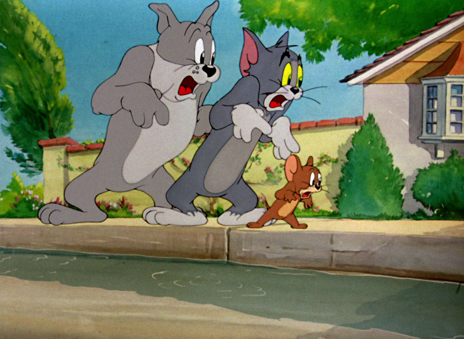 Том и серий читать. Tom and Jerry. Том и Джерри 1974. Том и Джерри 1996.