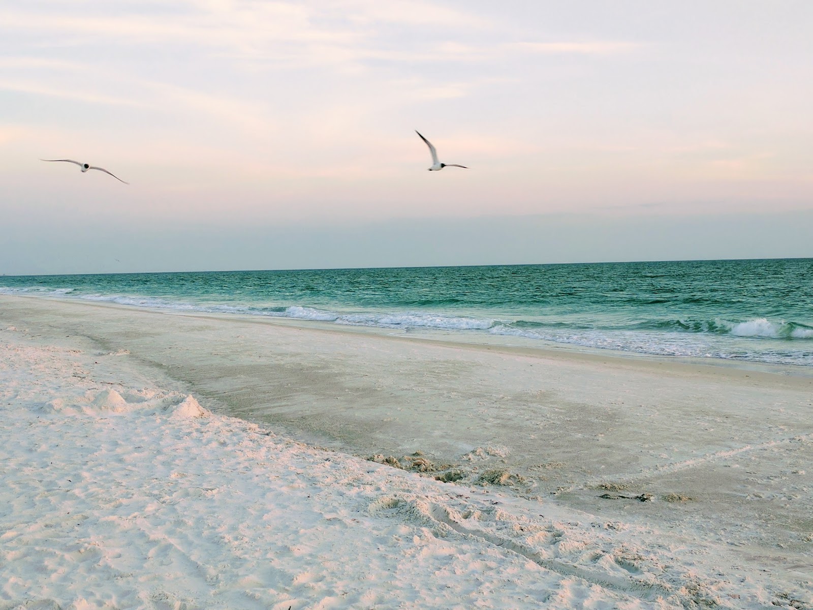 Anna Maria Island Vacation 2017 Part Three Anna Maria Island Vacation 2017 Part Three