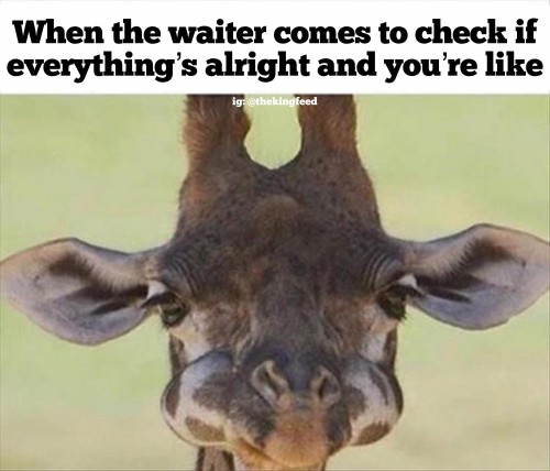 Download Giraffe Meme Unicorn Png Gif Base