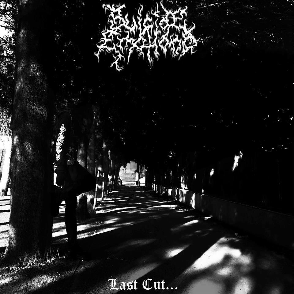 альбомы. Mamur. P. Last cut. Wasp обложки.