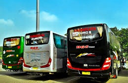 Jelajah Bumi Banyumas: Pariwisata Purwokerto dan Armada Busnya yang Mempesona