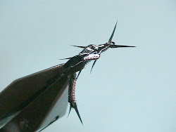 a bird flies 2 3 asvab 5