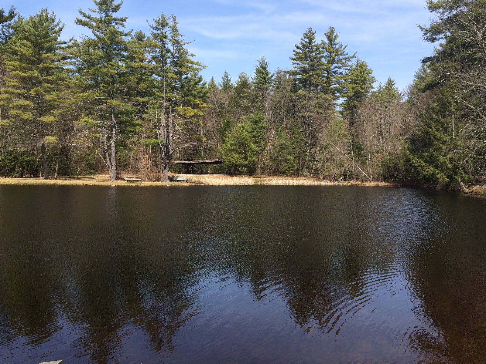 The Daily Woot Trout Brook Conservation Area