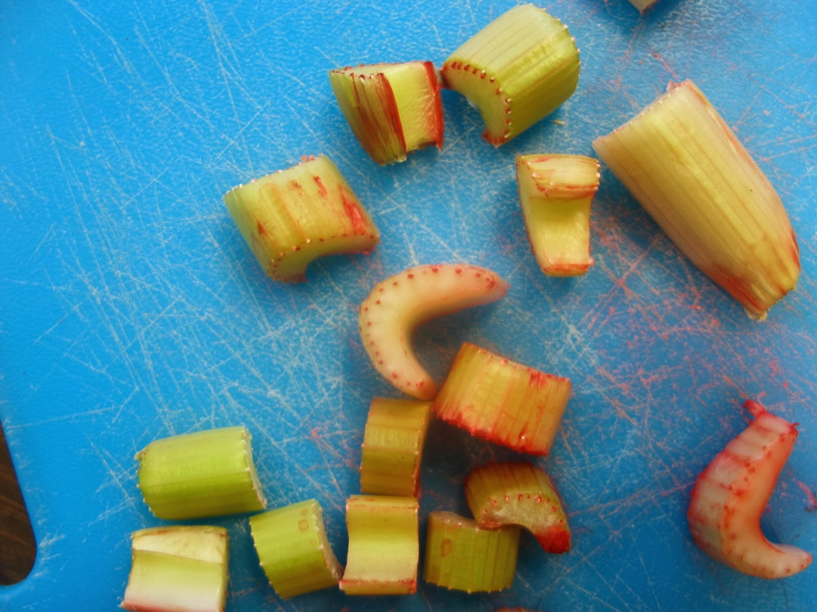 Learning in Place Celery experimenthow a plant transports water