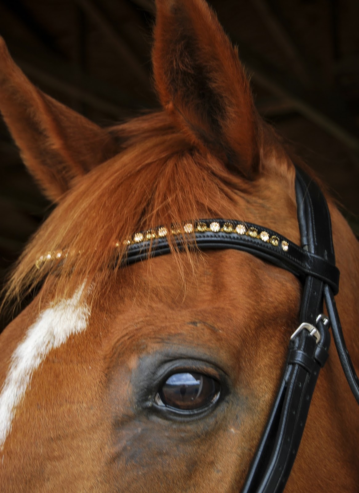 Gatsby Clincher Browband