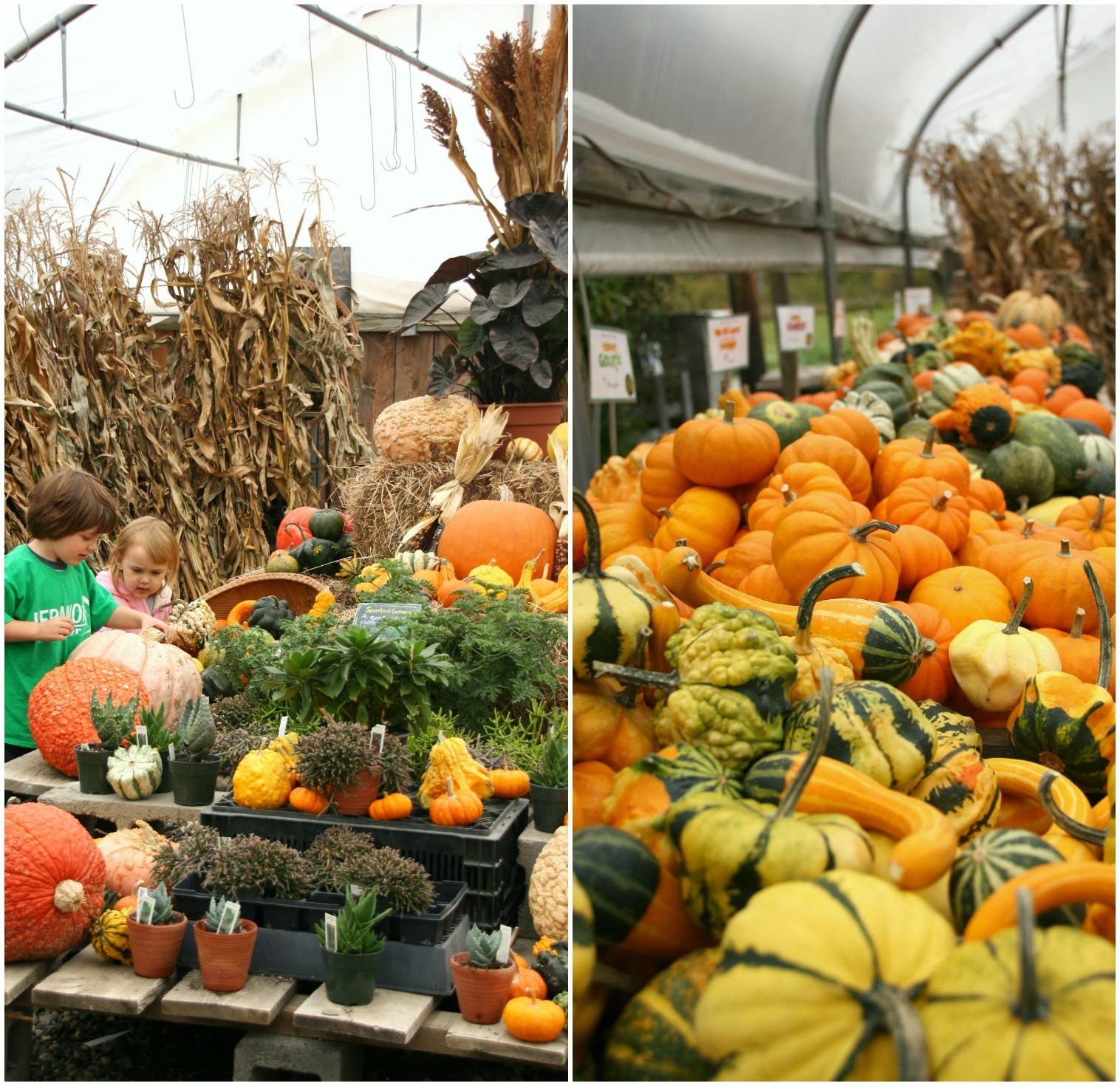 this beautiful mess Last Fall