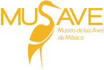 Museo Itinerante del Museo de las Aves de Mexico