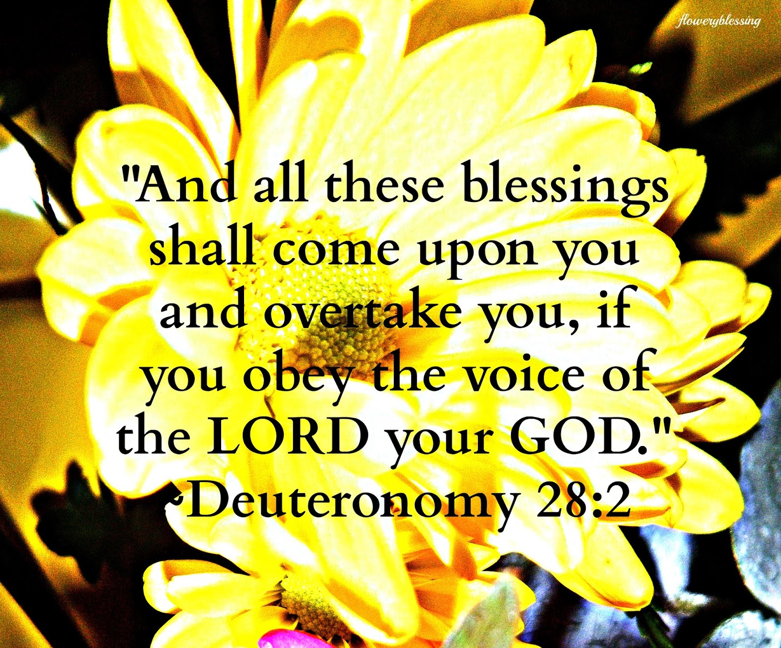 Flowery Blessing "And all these blessings shall come upon you and