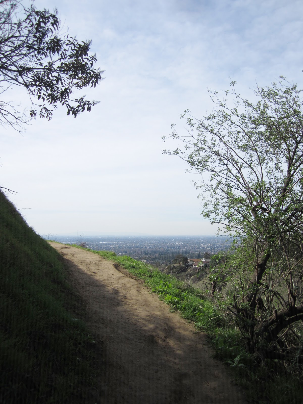 Lilly and the brothers Of Trees and Trails Hellman Wilderness Park