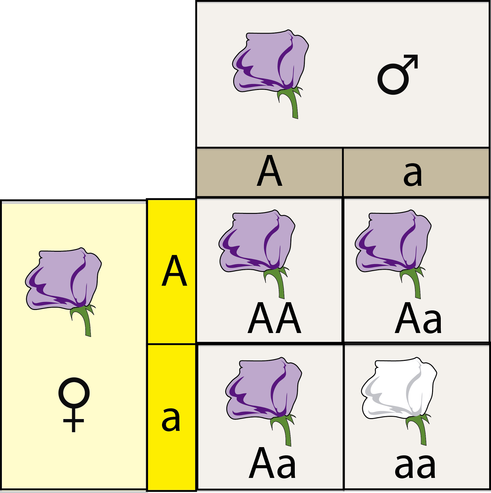 el moderno prometeo Herencia Leyes de Mendel