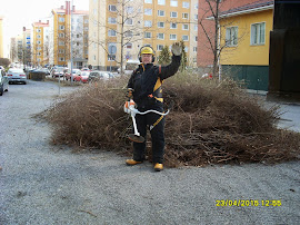 Pihapuiden kaadot, pensasaitojen leikkaukset, alasleikkaukset raivaussahalla Tampere Pirkanmaa