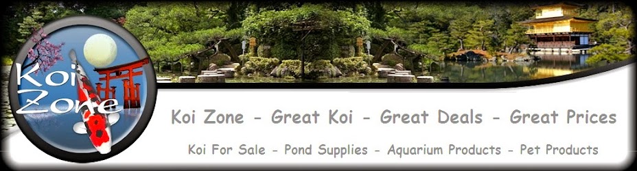 Koi Zone - Japanese Koi And Pond Supplies