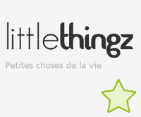 little thingz logo