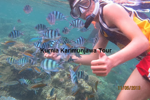 snorkeling di Karimunjawa