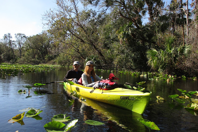 Where to Kayak in Orlando