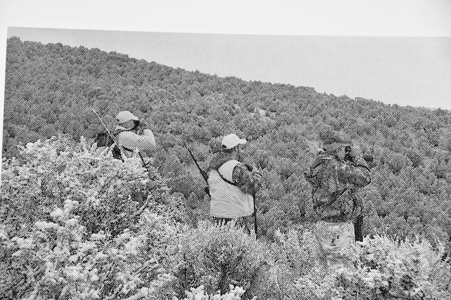 Scrollwork: June 2010