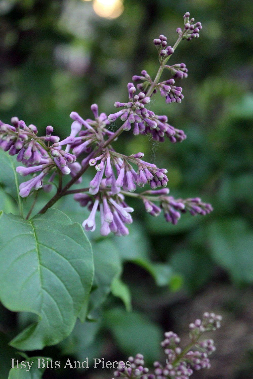 Tales From A Happy House Pockets Of Lovely