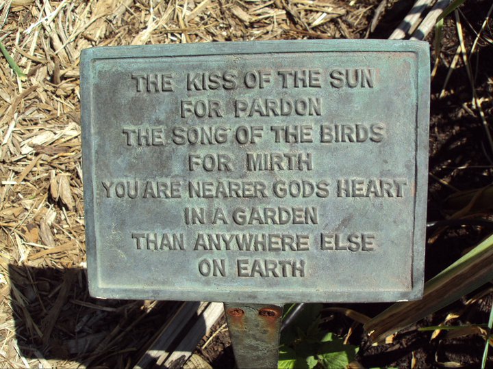 The kiss of the Sun ...