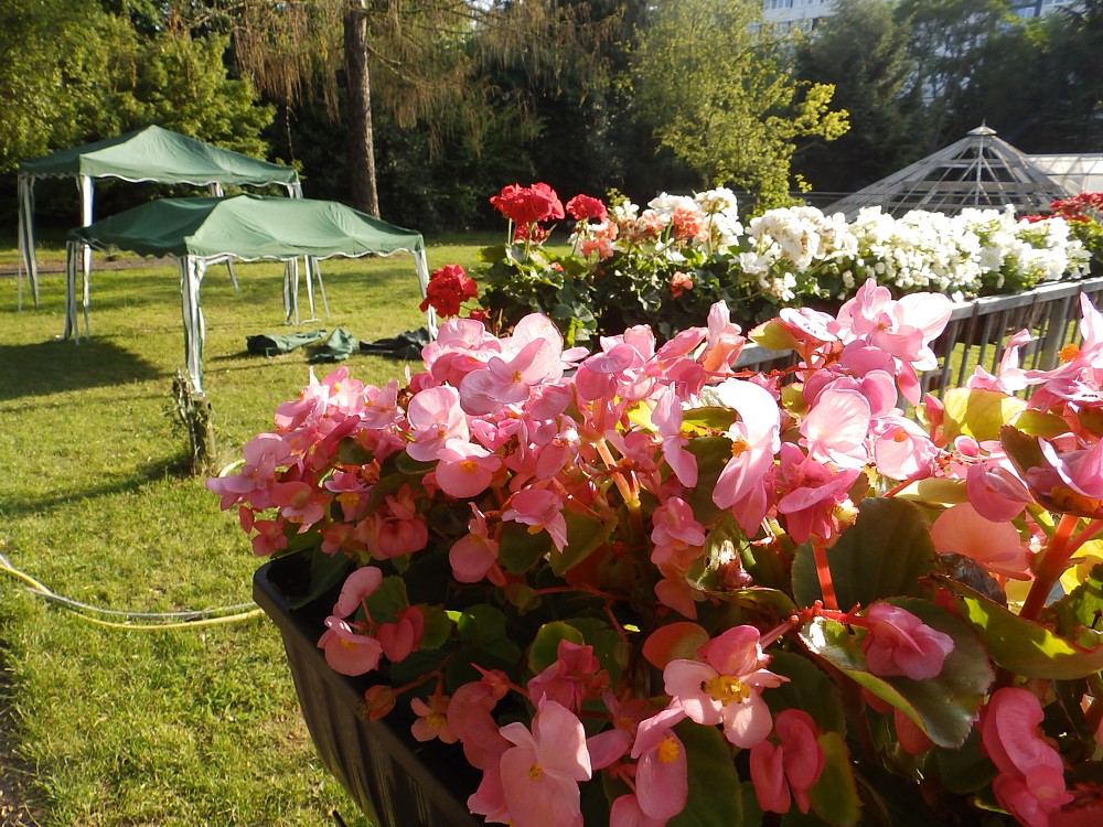 Traveling 2017 Places Memories And Citylooks Taschas Daily