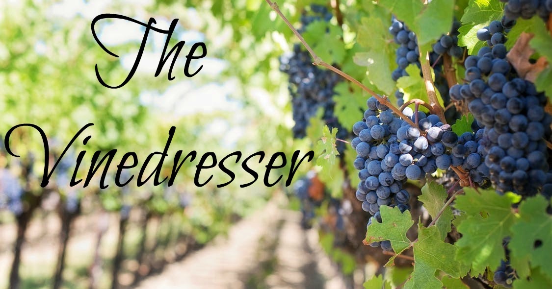 A Purpose and A Promise The Vinedresser