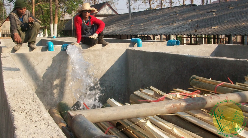 Chalet & Bamboo: Treatment of bamboo with limewater
