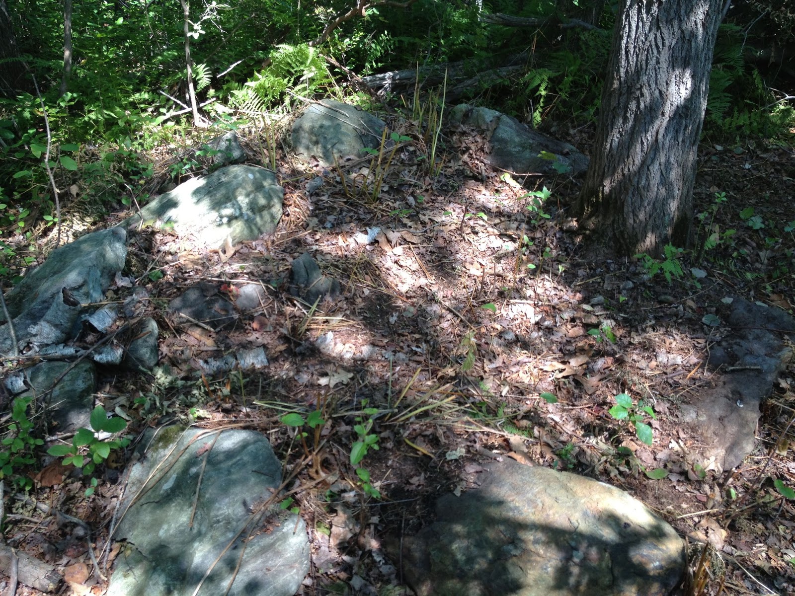 Dispatch from the Digital Health Frontier Building Unity Farm