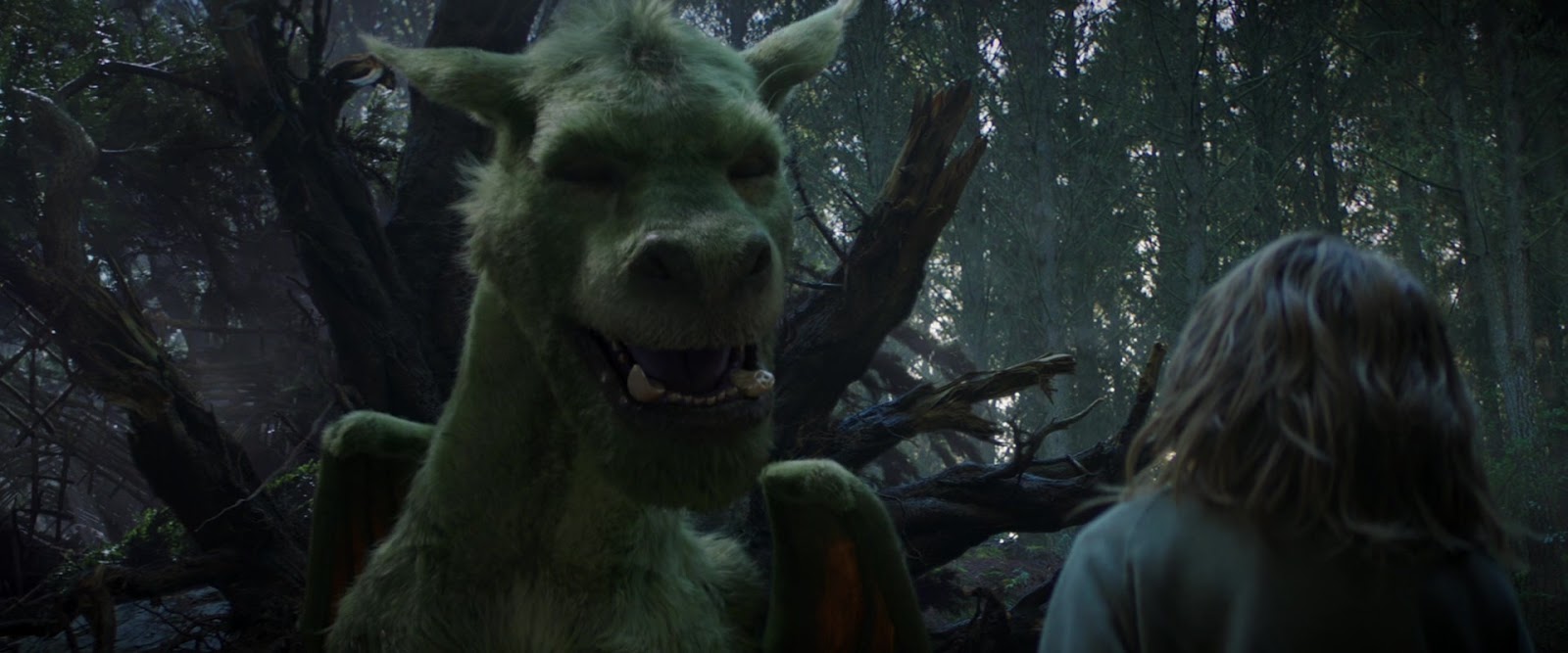 пит и его дракон качество. пит и его дракон качество. пит и его дракон оакс фигли. пит и его дракон оакс фигли. пит и его дракон (2016).