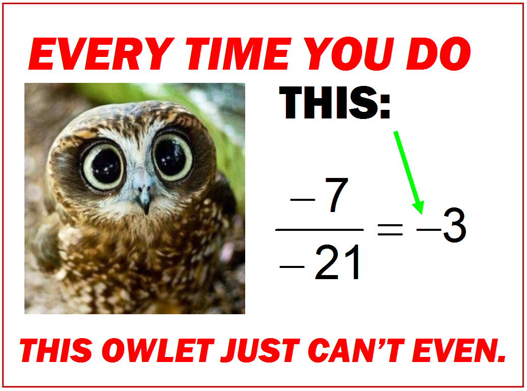 Curmudgeon: Do This and the Bunny Dies