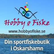 Hobby och Fiske