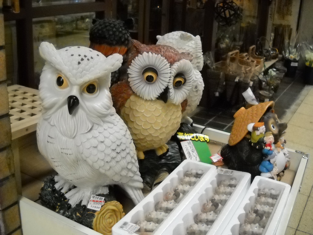 Daily Glimpses of Japan Owls In The Japanese Lore