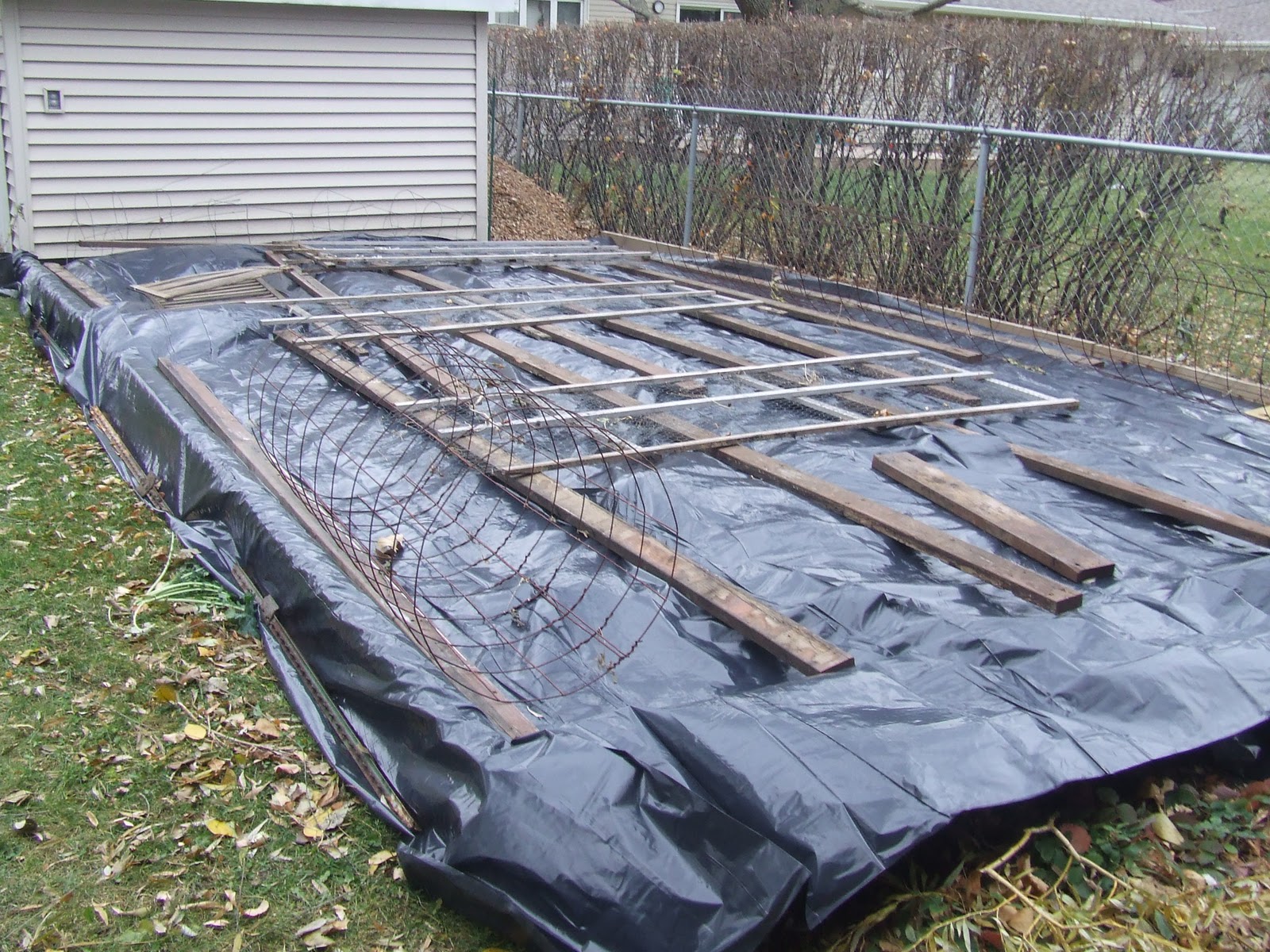 Soil Health and Weed Control: The Science of Solarizing Garden Beds