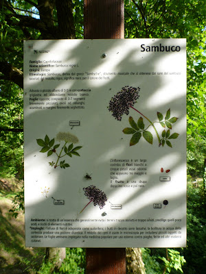 Example of Sign about Trees in the Reserve