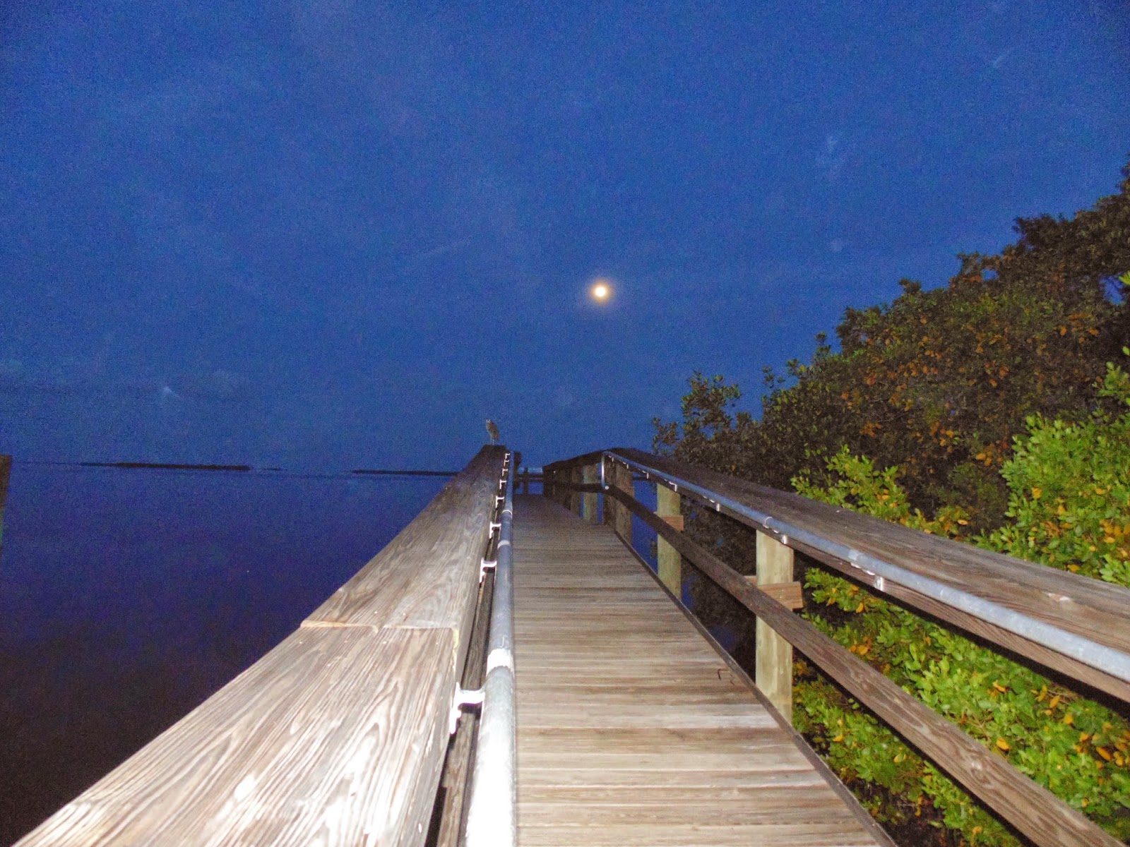 Pine Island, Florida Pine Island in 2015