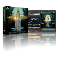Best Service Shevannai: the Voices of Elves KONTAKT Library