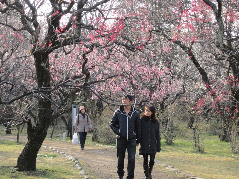 Fujimini Adventure Series Japanese Spring after a Long Winter