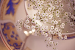 breath wallpapers pamba flower desktop cup background past babys deviantart