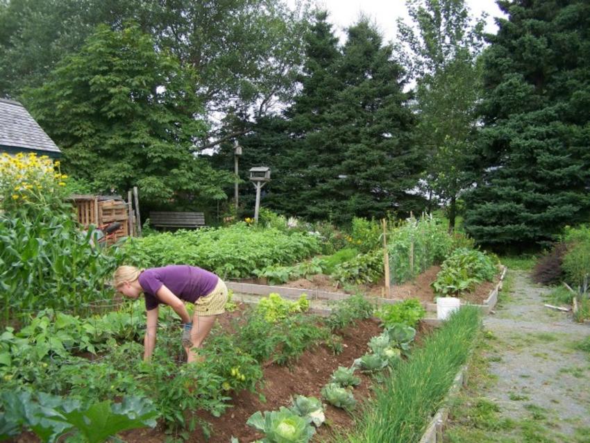 Menderes Hobi Bahceleri