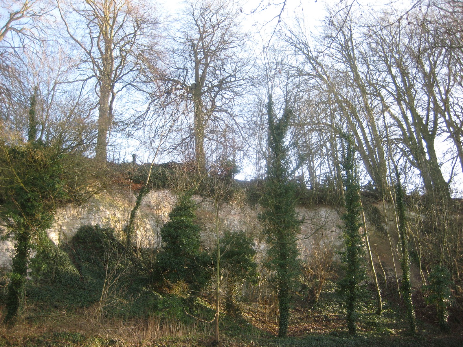 The Saleby Jogging Centre: No.10: Silver Lincs Way